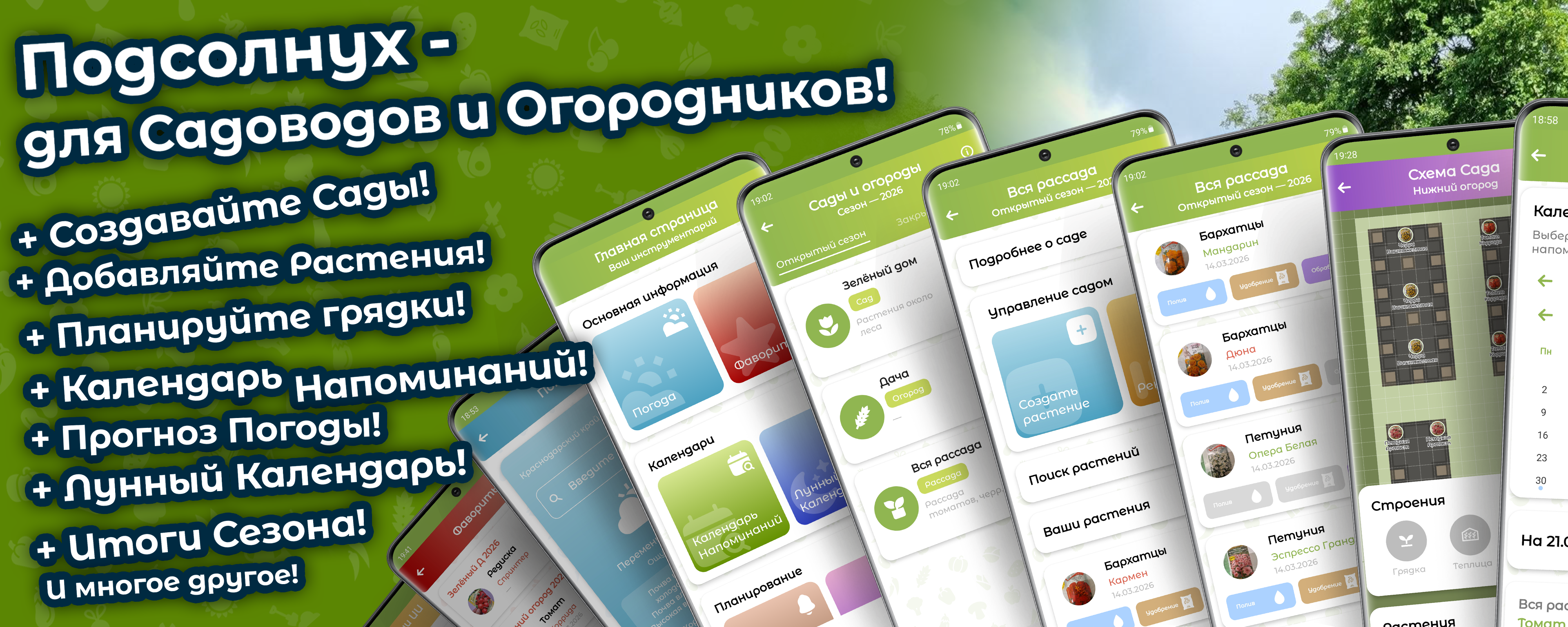 Подсолнух — обложка приложения